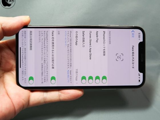 供应链渠道证实iPhone X Plus/X SE存在：有望今年亮相