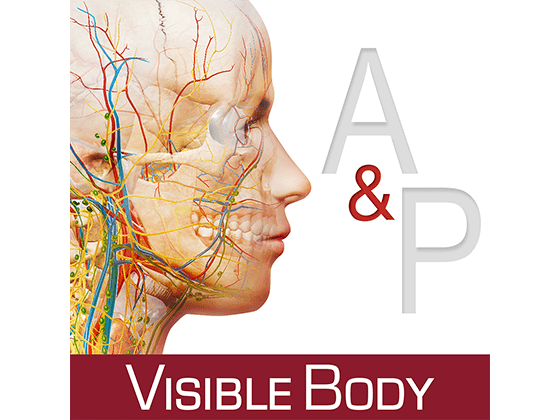 Anatomy and Physiology 6.2.07 身体结构与功能介绍