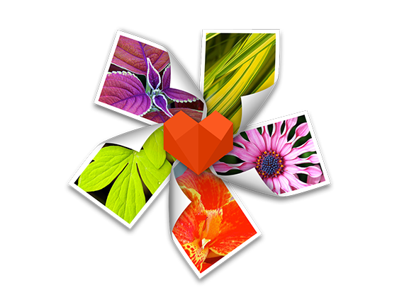Arcsoft Photo+ 3.0.90138 比较方便的看图软件