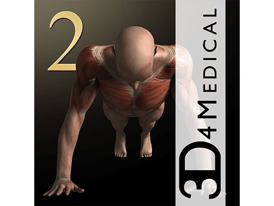 iMuscle 2 3.9.1 3D肌肉训练健身软件