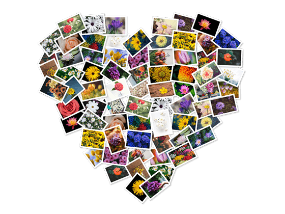 FigrCollage 2.5.10 自定义照片拼贴应用