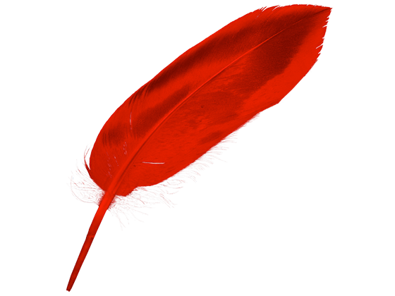 iCalamus 2.18 版面设计工具