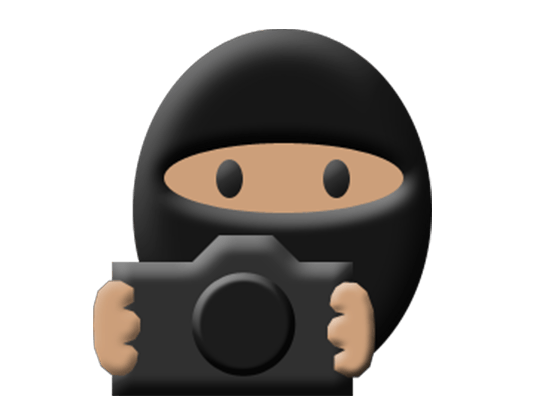 Photo Ninja 1.3.10 专业的RAW转换应用