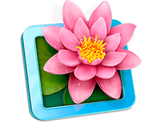 lilyview mac lilyview mac