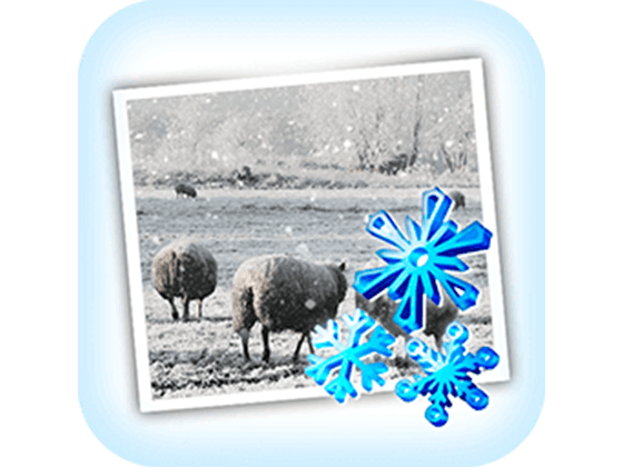 JixiPix Snow Daze 1.27 照片下雪效果处理软件
