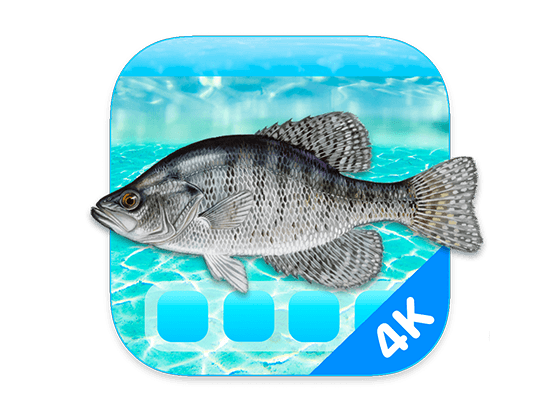 Aquarium 4K 1.1.0 4K动态壁纸应用