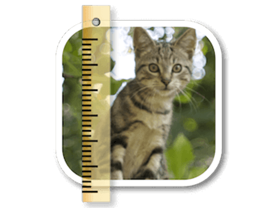 SizeMyPics 1.7.0 图片尺寸转换工具