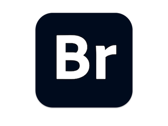 Adobe Bridge 2025 15.0.1 强大的图片和设计管理工具