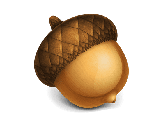 Acorn 8.1.1 优秀的轻量级图形处理工具