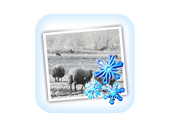 JixiPix Snow Daze 1.32 照片下雪效果处理软件