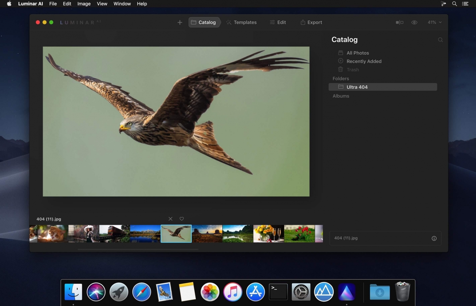 luminar ai free download for windows 10